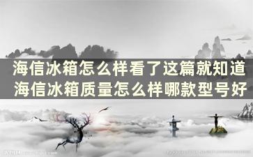 海信冰箱怎么样看了这篇就知道 海信冰箱质量怎么样哪款型号好